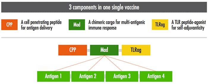 3 components in a one single vaccine