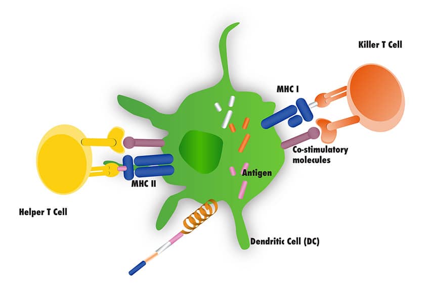 Focus on oncology futura