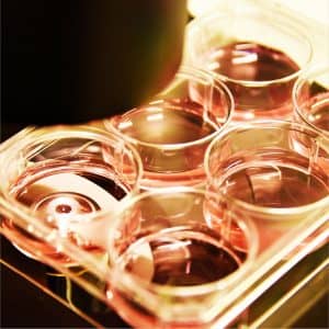 Tubes Tubes